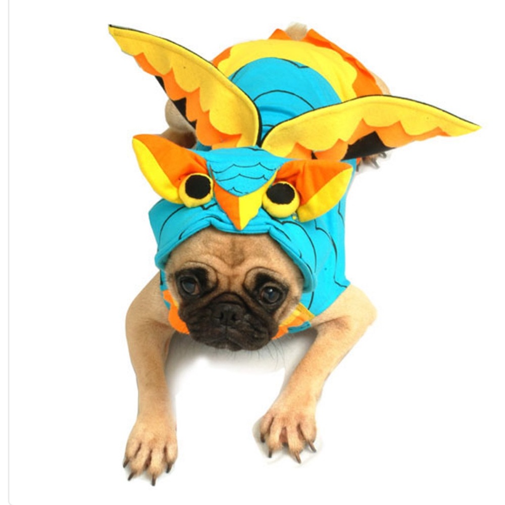 🦉 New-Colorful Owl Dog Costume